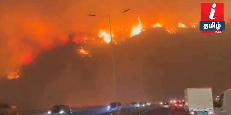 chile forest fire